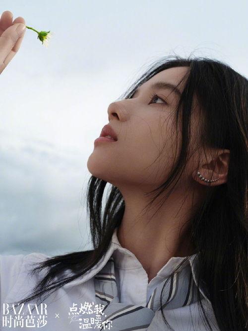 张婧仪陈飞宇圈内爆料,揭秘娱乐圈背后的真实故事  第3张