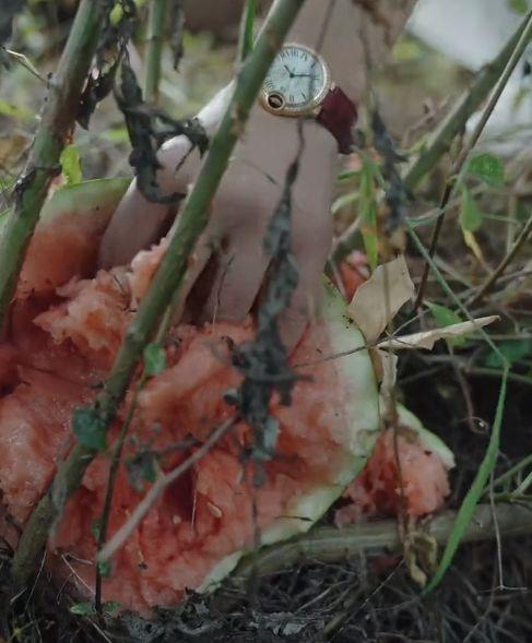 网红小鱼海棠吃瓜  第2张